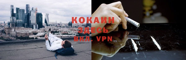 прущие грибы Горнозаводск
