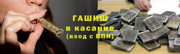 прущие грибы Горнозаводск