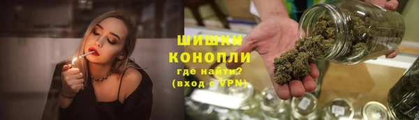 прущие грибы Горнозаводск