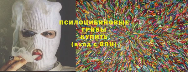 мяу мяу мука Горняк