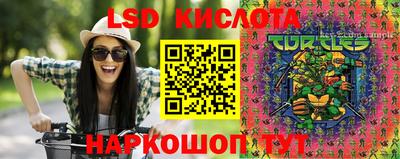 молекула духа Берёзовский