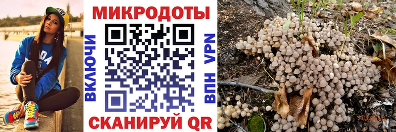 Галлюциногенные грибы GOLDEN TEACHER  Георгиевск 