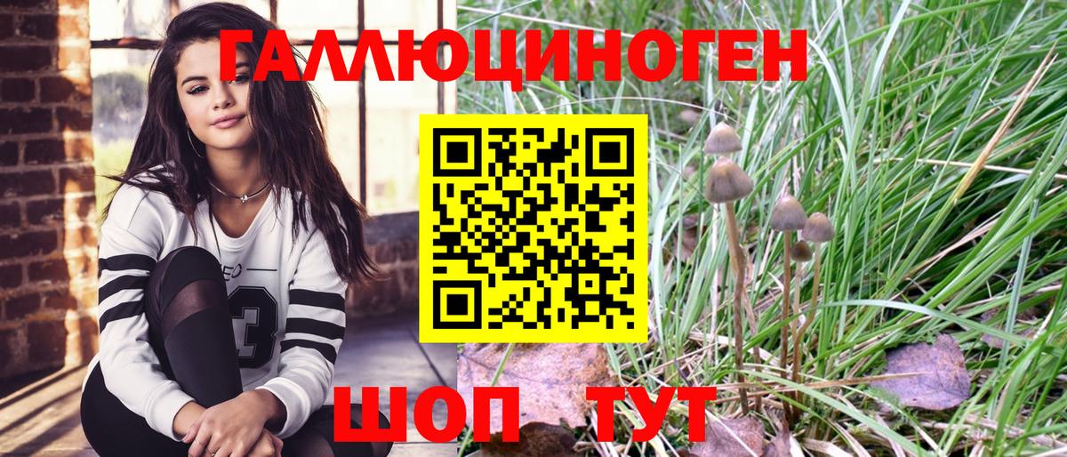 Псилоцибиновые грибы GOLDEN TEACHER Георгиевск