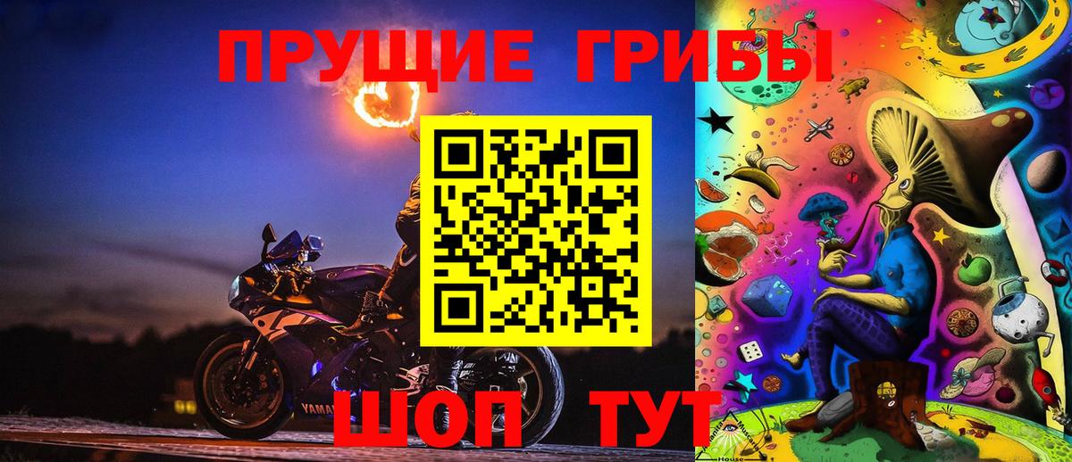 Псилоцибиновые грибы мицелий Георгиевск