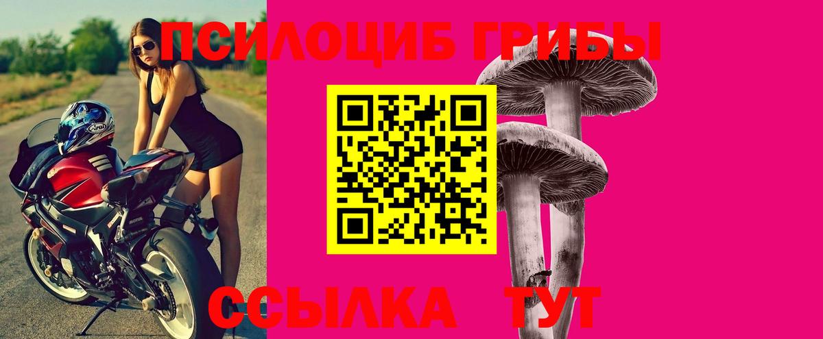 Псилоцибиновые грибы Cubensis  Георгиевск 